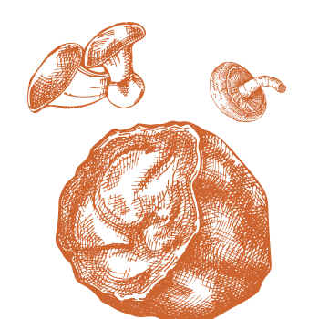 Állítsa helyre az egyensúlyt a szervezetében