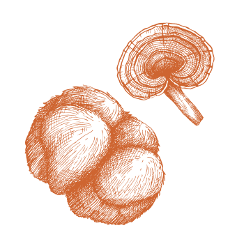 Erő és energia a természetből